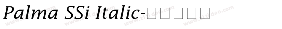 Palma SSi Italic字体转换